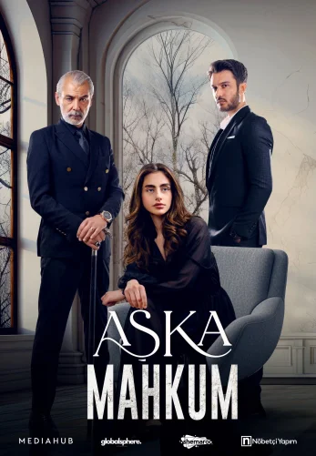 Заключенный любви турецкий сериал